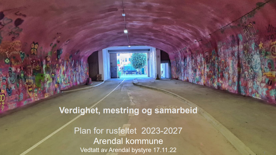 Lenke til artikkel: Rusplan