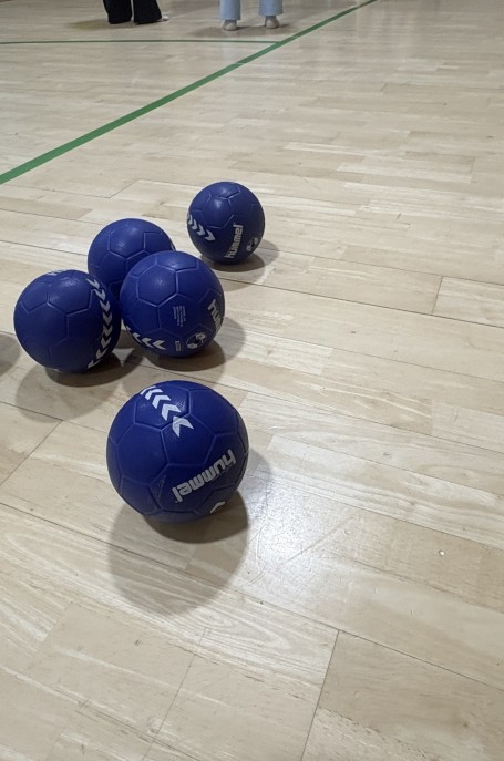 Lenke til artikkel: Fargerik Håndball er i gang på Stinta SFO