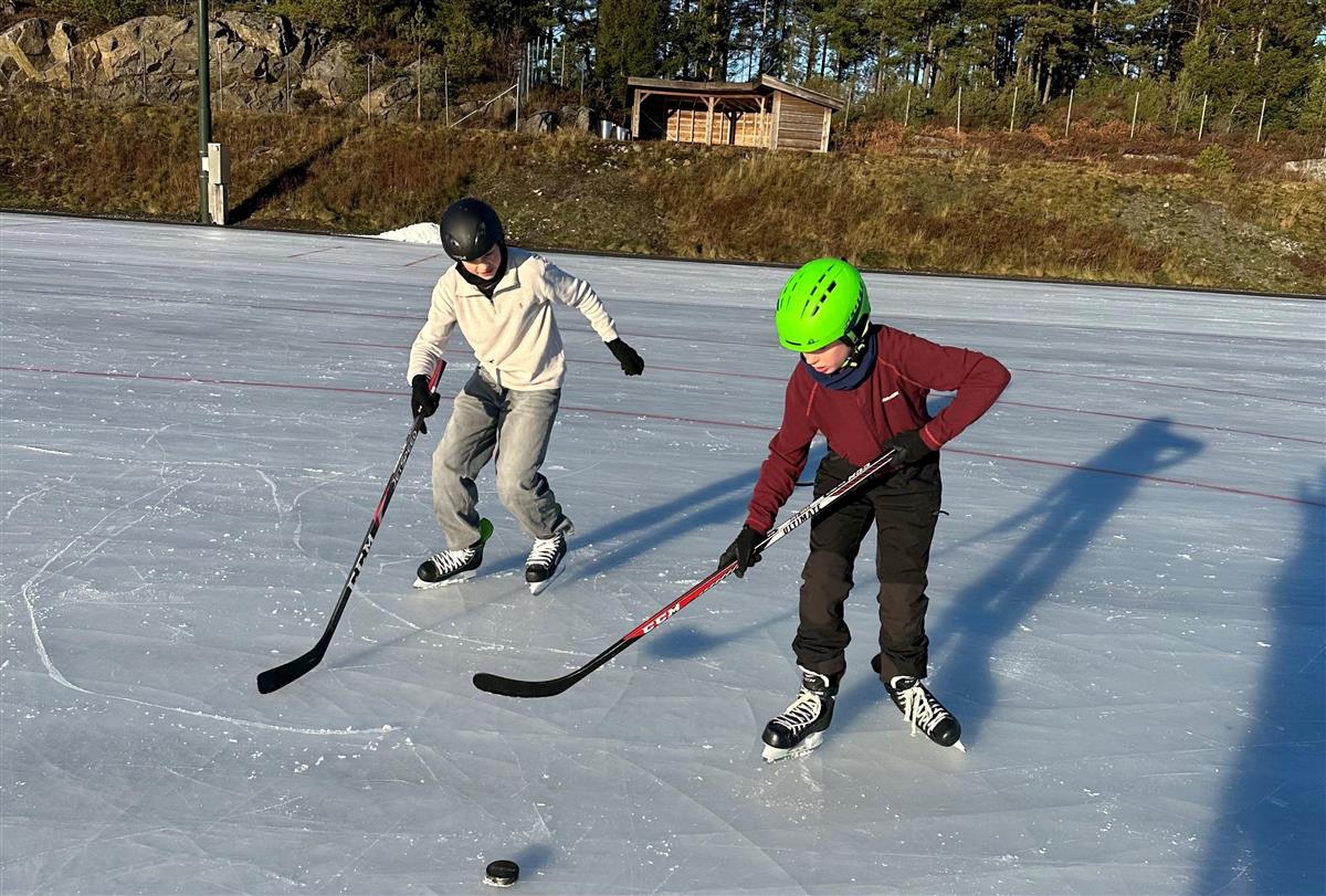 To barn går på skøyter - Klikk for stort bilde