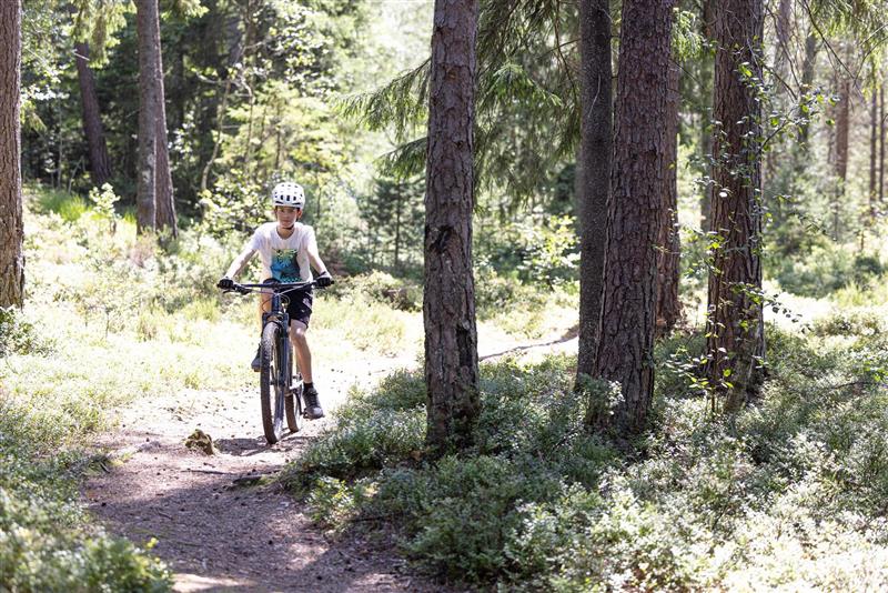 Gutt sykler på en sti i skogen
