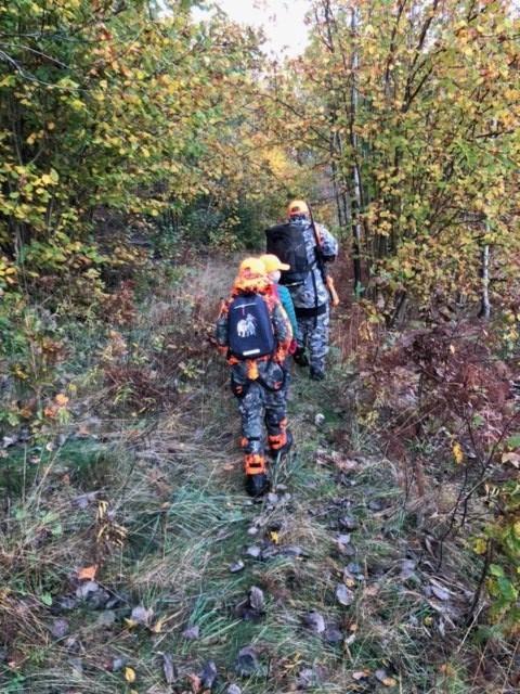 Klikk for stort bilde