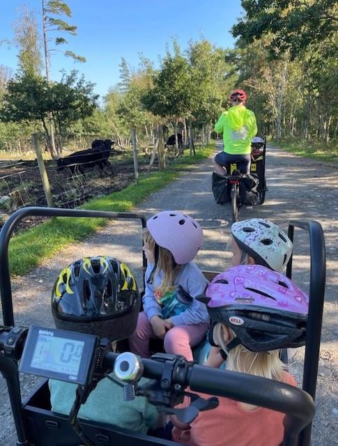 Klikk for stort bilde
