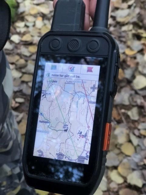 Klikk for stort bilde