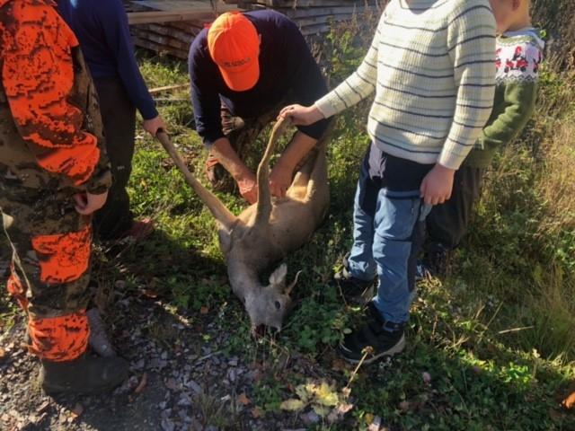 Klikk for stort bilde